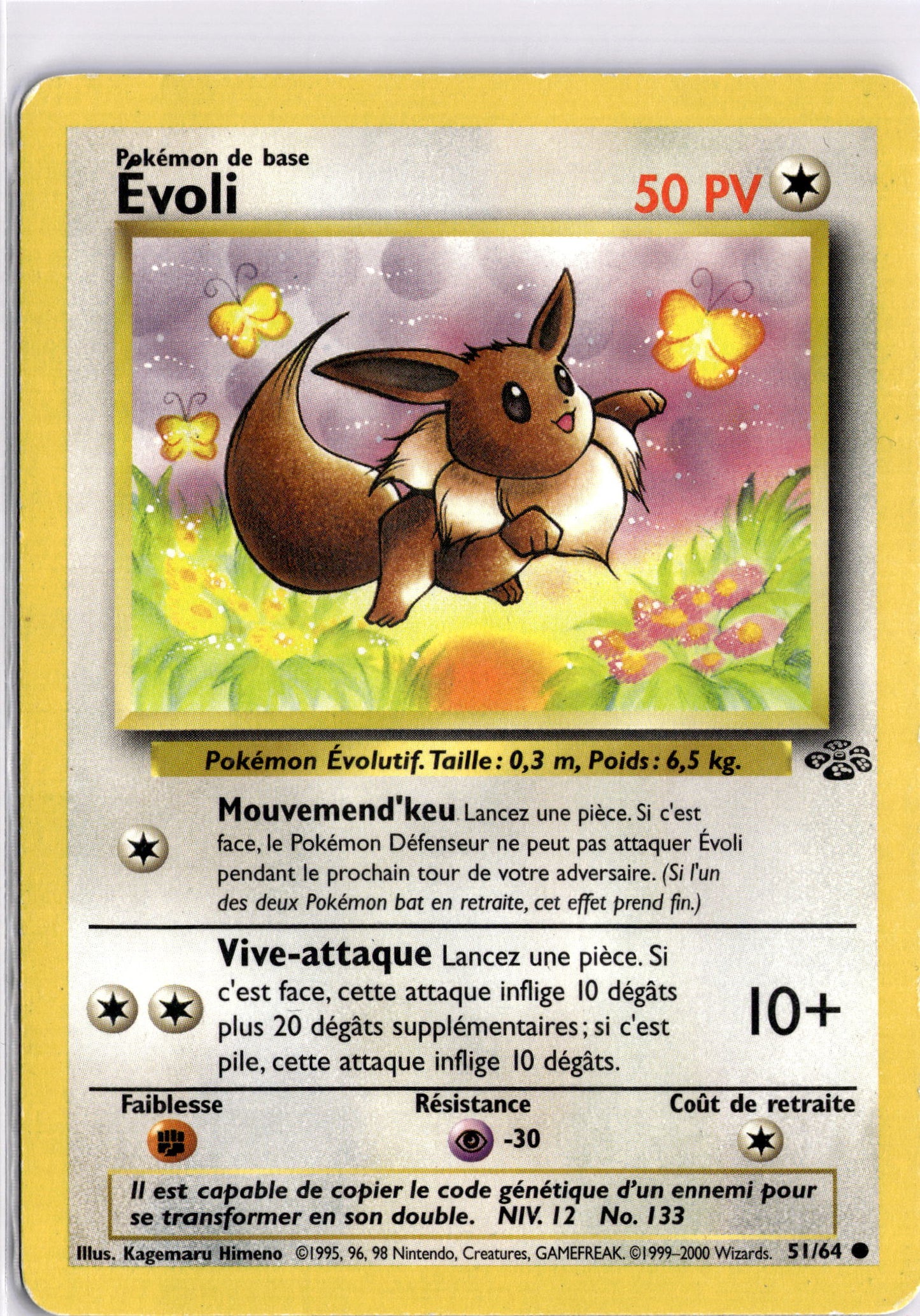 51/64 - Evoli
