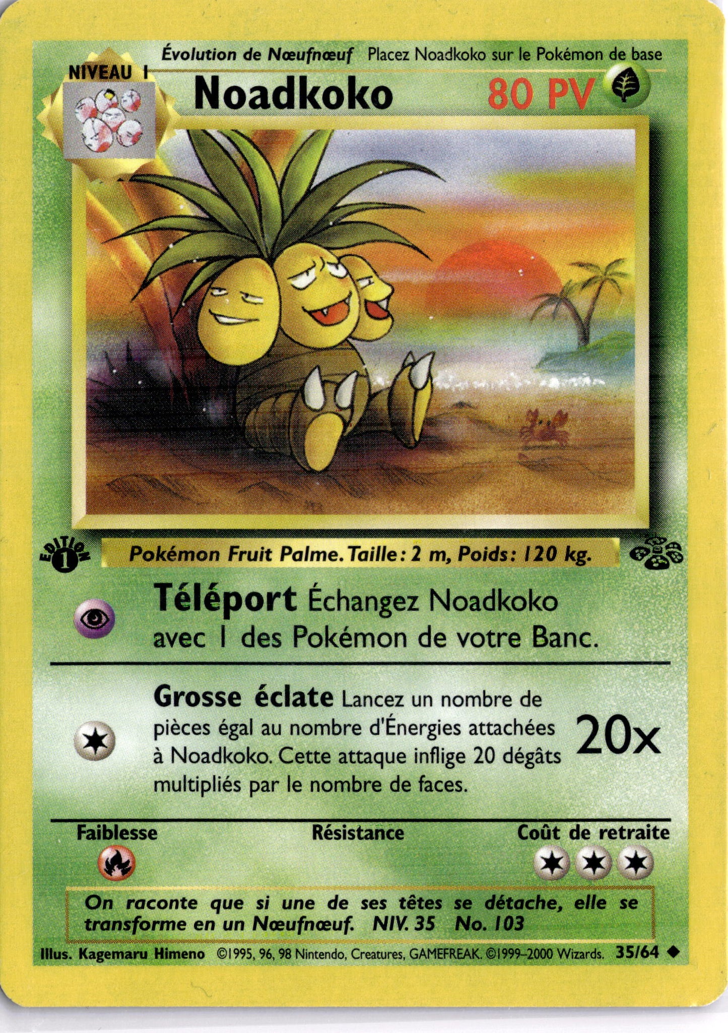 35/64 - Noadkoko