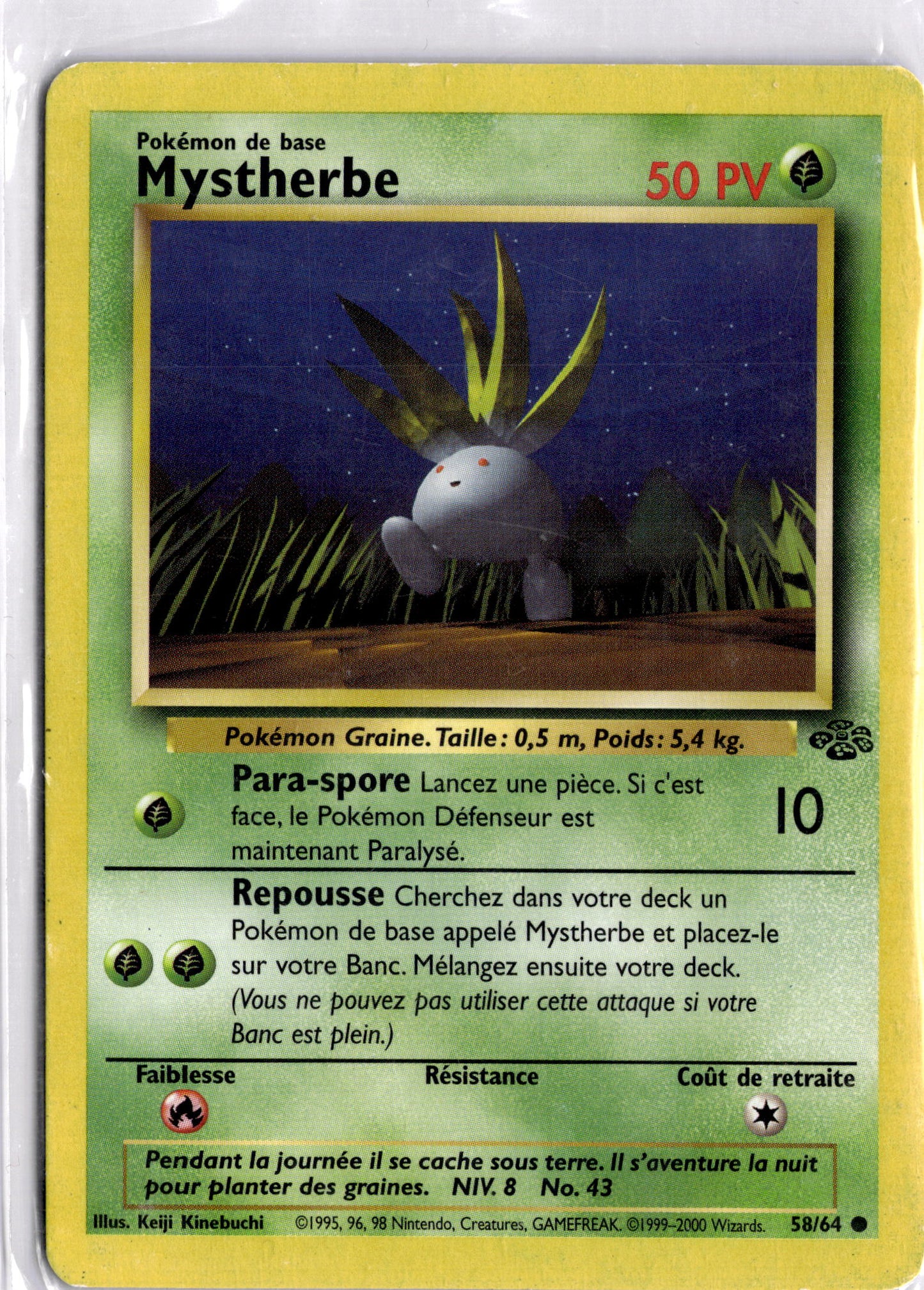 58/64 - Mystherbe