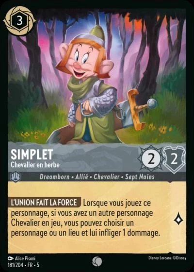 Simplet, Chevalier en herbe 181/204 • FR • 5